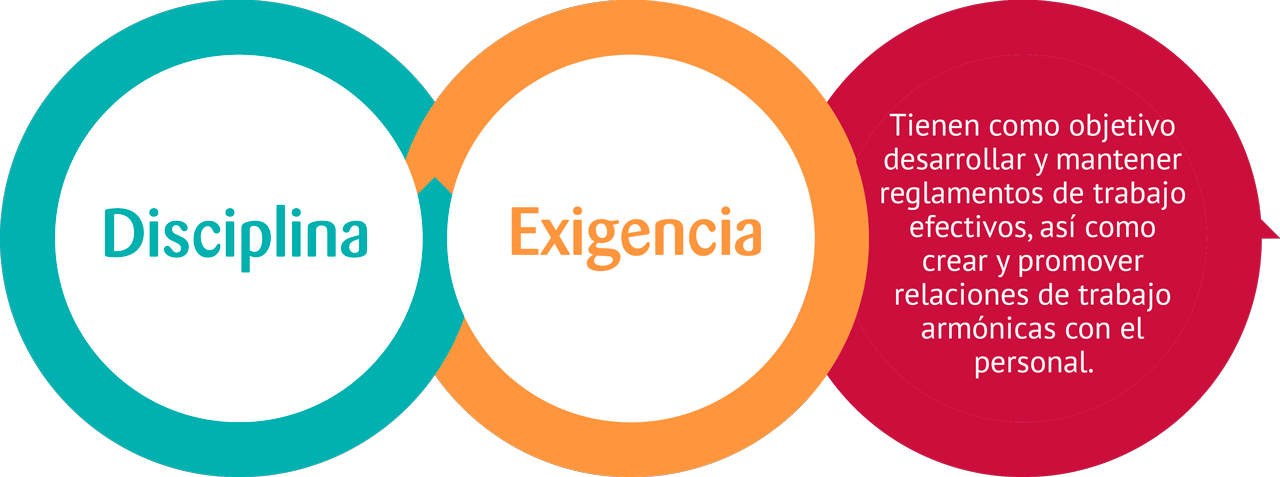 Disciplina + Exigencia