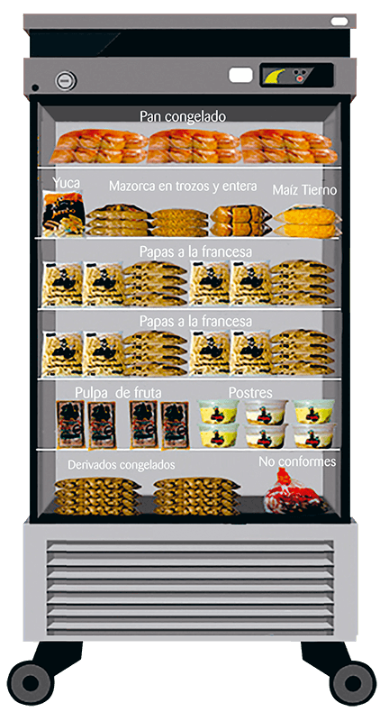 Bodega